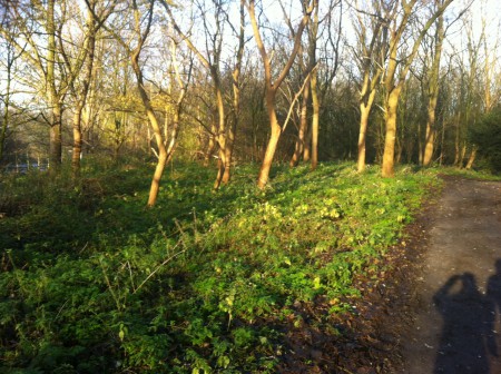 Locatie Gorzen waar de runs worden gehouden