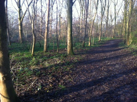 Natuurgebied de Gorzen