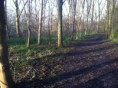 /album/fotogalerij-nieuws/img-0631-jpg/