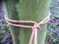 /album/fotogalerij-nieuws/img-0685-jpg/