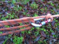 /album/fotogalerij-nieuws/img-0686-jpg/